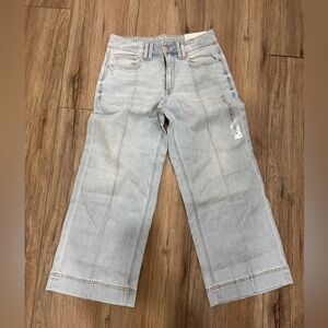 American Eagle Outfitters Dreamy Drape Low Rise Baggy Wide Leg